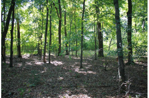 LOT 17 Fawn Drive, Grand Marsh, WI 53936