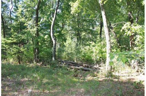 LOT 17 Fawn Drive, Grand Marsh, WI 53936