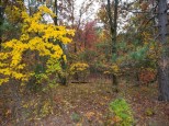 LOT 17 Fawn Drive Grand Marsh, WI 53936