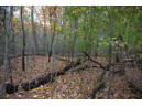 LOT 17 Fawn Drive, Grand Marsh, WI 53936