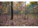 LOT 17 Fawn Drive, Grand Marsh, WI 53936