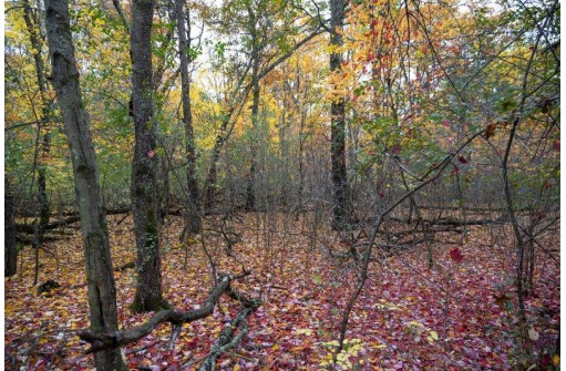 LOT 17 Fawn Drive, Grand Marsh, WI 53936