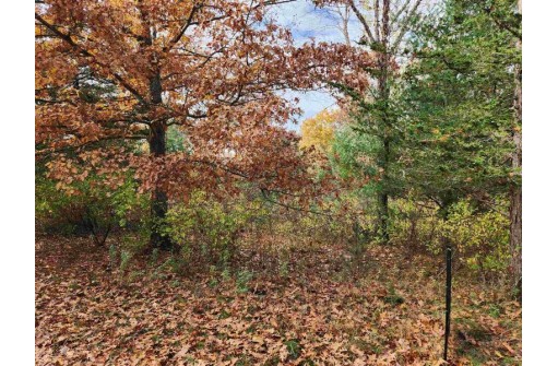 LOT 62 S Fur Drive, Wisconsin Dells, WI 53965