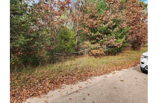 LOT 62 S Fur Drive, Wisconsin Dells, WI 53965