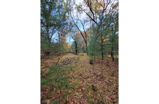 LOT 55 19th Creek, Arkdale, WI 54613