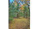 LOT 55 19th Creek Arkdale, WI 54613