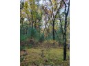 LOT 55 19th Creek, Arkdale, WI 54613