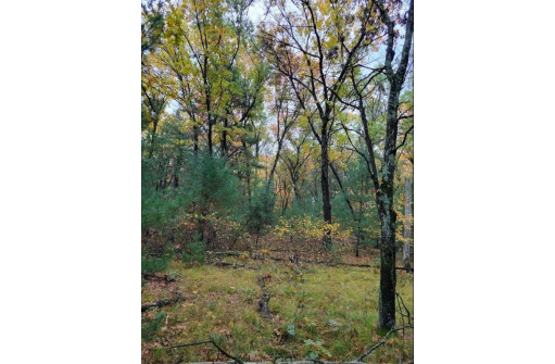 LOT 55 19th Creek, Arkdale, WI 54613