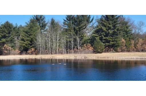 LOT 55 19th Creek, Arkdale, WI 54613