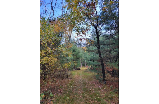 LOT 55 19th Creek, Arkdale, WI 54613