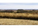 14 +/- ACRES County Road F, Blue Mounds, WI 53517