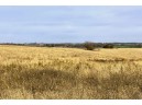 14 +/- ACRES County Road F, Blue Mounds, WI 53517