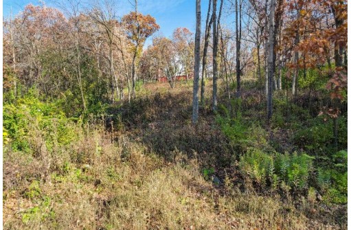 LOT 62 Swoboda, Verona, WI 53593