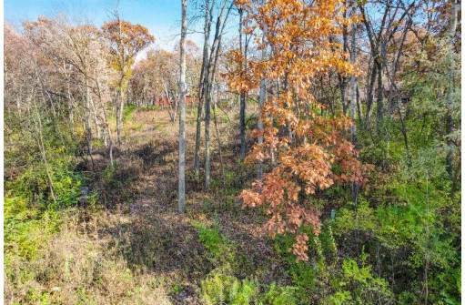 LOT 62 Swoboda, Verona, WI 53593