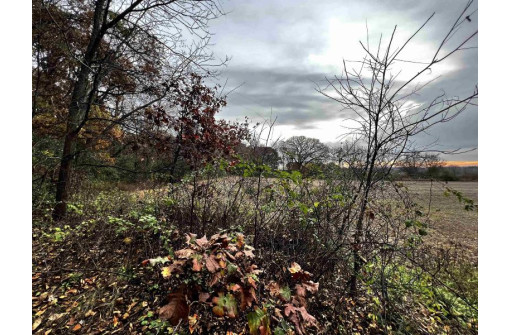 530 Edgehill Lane - Lot 2, Belleville, WI 53508