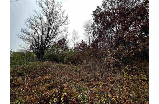 530 Edgehill Lane - Lot 2, Belleville, WI 53508