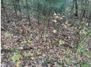 147+/-ACRES Happersett Lane, Redgranite, WI 54970