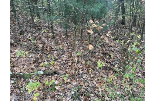 147+/-ACRES Happersett Lane, Redgranite, WI 54970