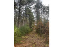 147+/-ACRES Happersett Lane, Redgranite, WI 54970