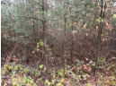 147+/-ACRES Happersett Lane, Redgranite, WI 54970