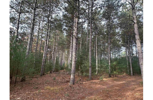 147+/-ACRES Happersett Lane, Redgranite, WI 54970