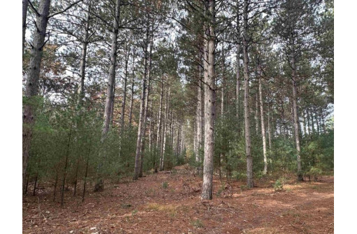 147+/-ACRES Happersett Lane, Redgranite, WI 54970