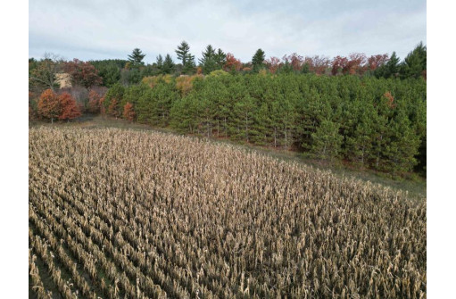 147+/-ACRES Happersett Lane, Redgranite, WI 54970