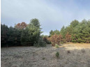 147+/-ACRES Happersett Lane, Redgranite, WI 54970