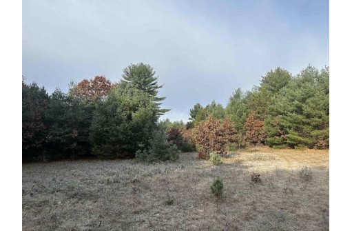 147+/-ACRES Happersett Lane, Redgranite, WI 54970