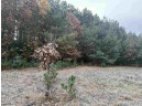 147+/-ACRES Happersett Lane, Redgranite, WI 54970