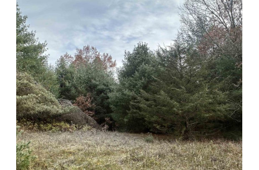 147+/-ACRES Happersett Lane, Redgranite, WI 54970