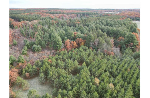 147+/-ACRES Happersett Lane, Redgranite, WI 54970