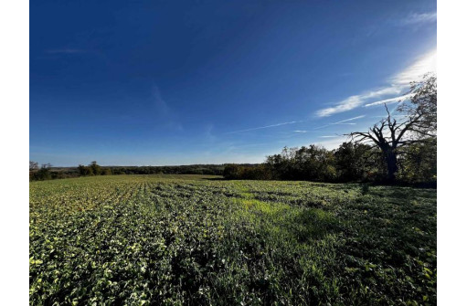 31.5 AC. Highway 39, New Glarus, WI 53574