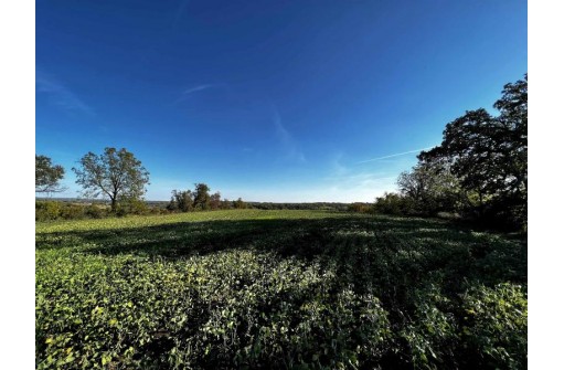 31.5 AC. Highway 39, New Glarus, WI 53574