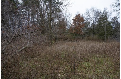 LOT 6 Cedar Cove, Westfield, WI 53964