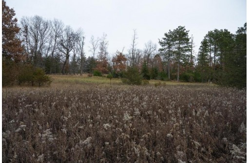 LOT 6 Cedar Cove, Westfield, WI 53964