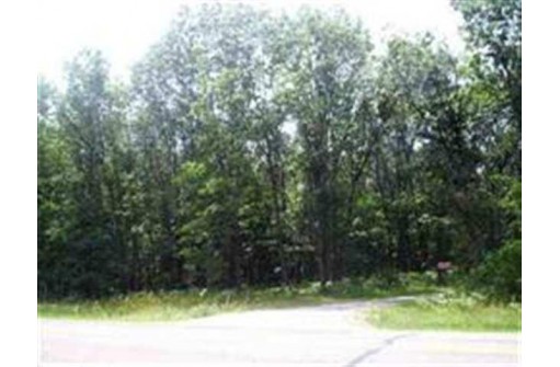 LOT 11 County Road N, Wisconsin Dells, WI 53965