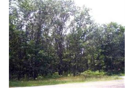 LOT 11 County Road N, Wisconsin Dells, WI 53965