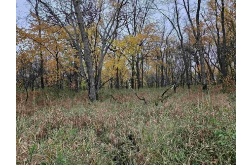 95.69 ACRES Highway 33, La Valle, WI 53941