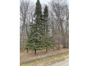 L150 Black Forest Pine Cone Lane, La Valle, WI 53941