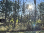 LOT 6 Poplar Avenue Cambridge, WI 53523