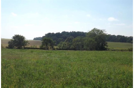 LOT 31 Shannon Road, Albany, WI 53502