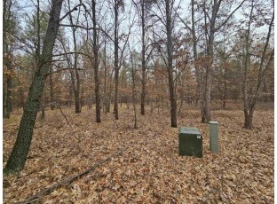 5.41 ACRES Koval Road Lyndon Station, WI 53944