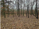 5.41 ACRES Koval Road, Lyndon Station, WI 53944