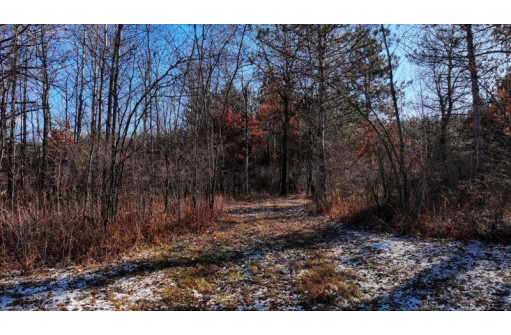 88.7+/- ACRES Highway 80, New Lisbon, WI 53950