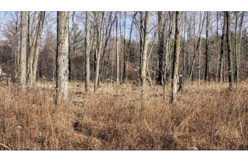 88.7+/- ACRES Highway 80, New Lisbon, WI 53950