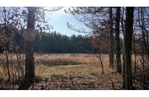 88.7+/- ACRES Highway 80, New Lisbon, WI 53950