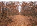 LOT 2 20th Drive, Necedah, WI 54646