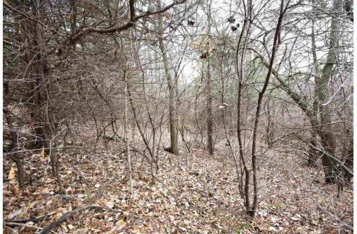 LOT 29 Summit Drive, Pardeeville, WI 53954