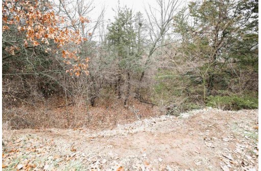 LOT 29 Summit Drive, Pardeeville, WI 53954